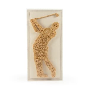 "Golfer Framed Wall Art"