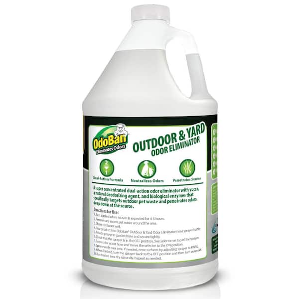 OdoBan 32 oz. OdoRocks Natural Volcanic Rock Odor Eliminator, Unscented  Non-Toxic Rechargeable Odor Absorber Bag for Car & Home 979561-2P - The  Home Depot