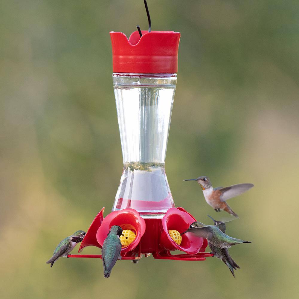 Red Glass and Plastic Hanging Hummingbird Feeder, 11-inch