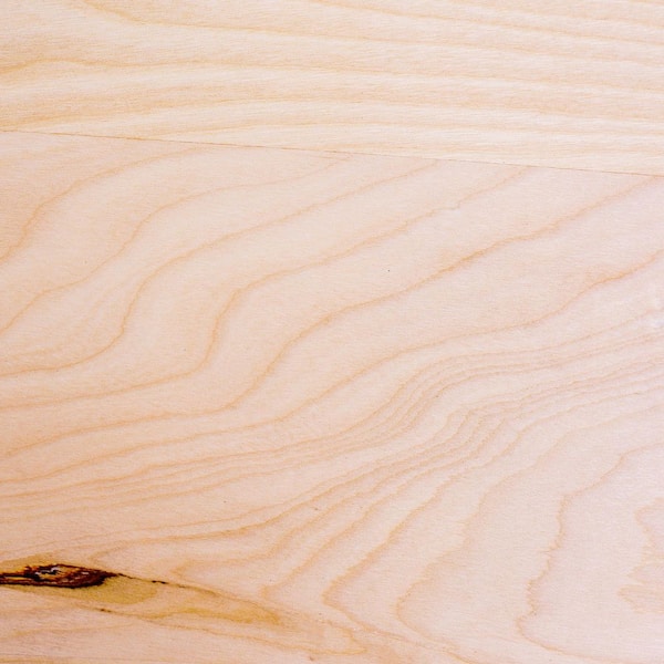 ProWood - 3/4 in. x 2 ft. x 4 ft. Birch Plywood Project Panel