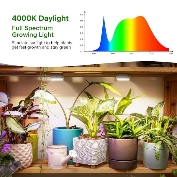 GrowLight 15w 3個 ヘリオスコラボライト 2個 Amazon.com : Briignite