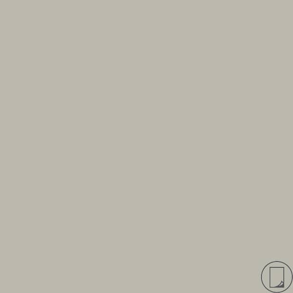 Wilsonart 5 ft. x 12 ft. Laminate Sheet in RE-COVER Dove Grey with Matte Finish