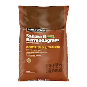 Sahara II Bermudagrass 50 lbs. 50,000 sq. ft. Full Sun Grass Seed