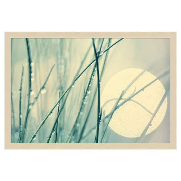 Amanti Art Morning blues by Ingrid Beddoes 25 in. W x 17 in. H. Wood Framed Wall Art Print Framed in Brown