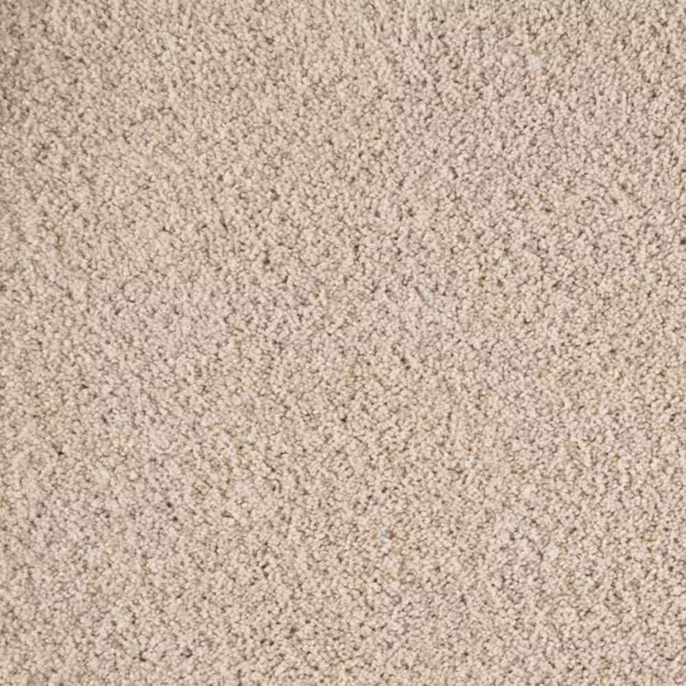 8 in. x 8 in. Texture Carpet Sample-Rockaway II-Color Doric Cream price history on PriceWatchPro