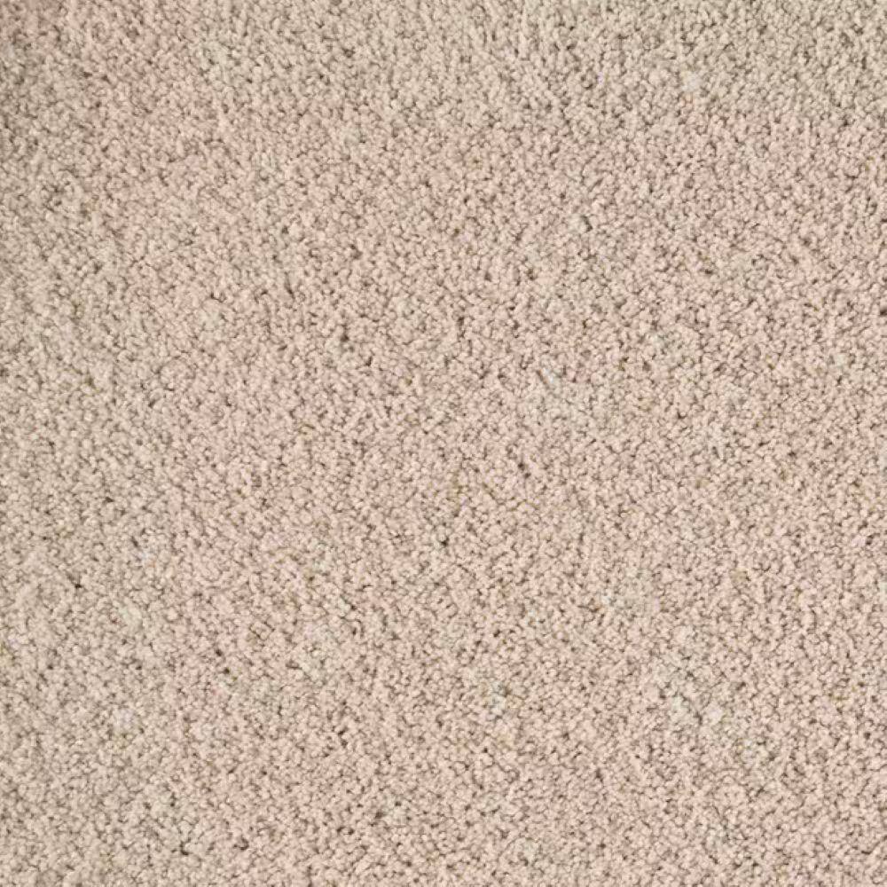 8 in. x 8 in. Texture Carpet Sample-Rockaway III-Color Doric Cream price history on PriceWatchPro