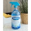 Sprayway 32 oz. Liquid Glass Cleaner, Blue SW5000R - The Home Depot