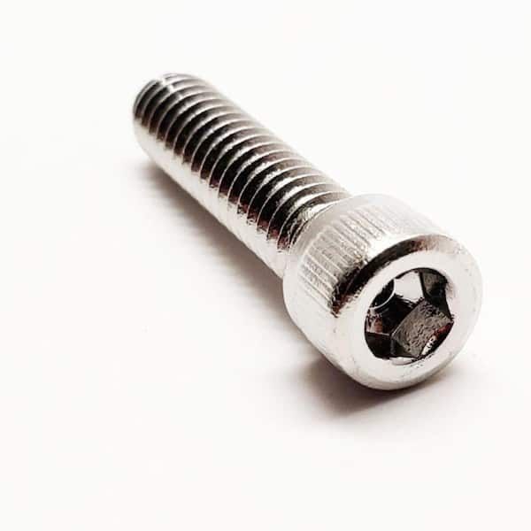 FOREVERBOLT #6 x 1/4 in. Hex Socket Cap Head Stainless Steel