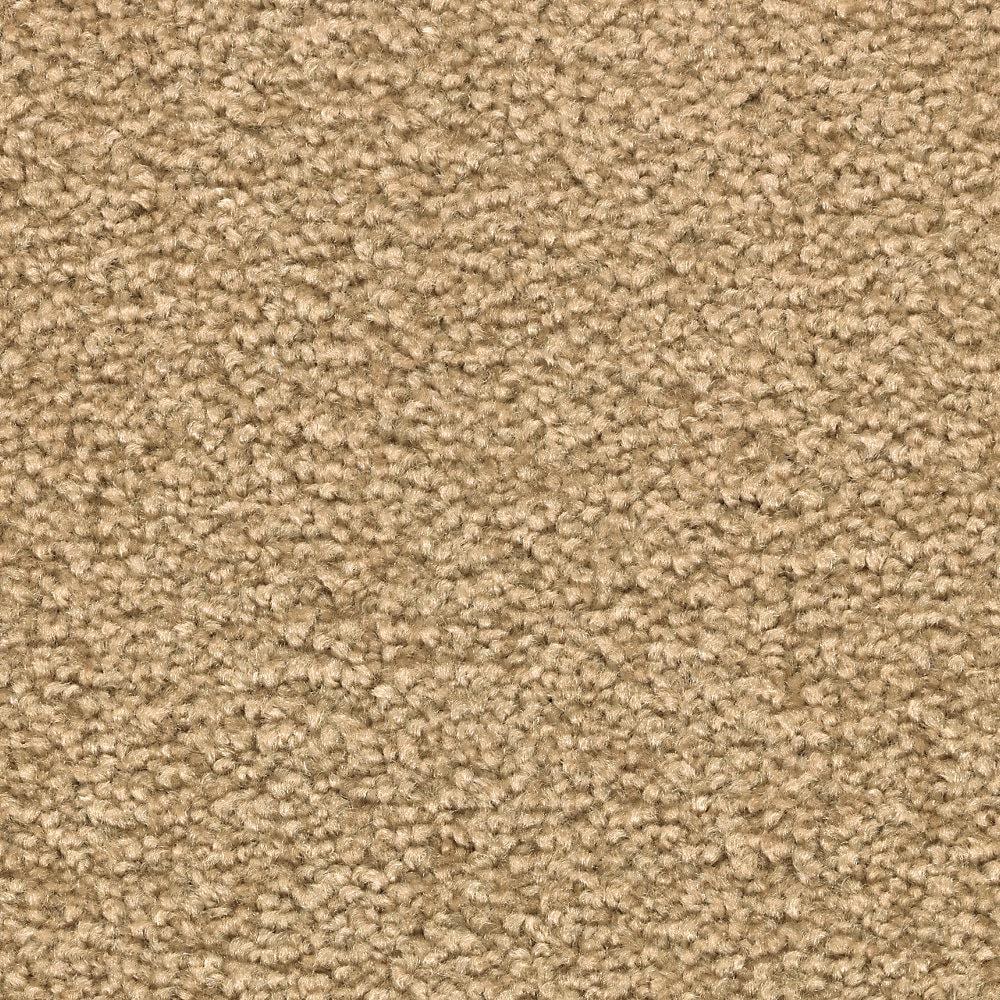 8 in. x 8 in. Texture Carpet Sample - Unblemished II -Color Rawhide price history on PriceWatchPro