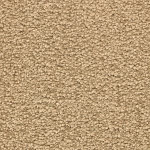 Unblemished I  - Rawhide - Beige 45 oz. Triexta Texture Installed Carpet