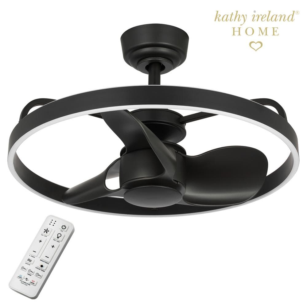 Sateena 24 in. Indoor Matte Black Ceiling Fan with Remote Control and Integrated Adjustable Color Temperature LED Light price history on PriceWatchPro