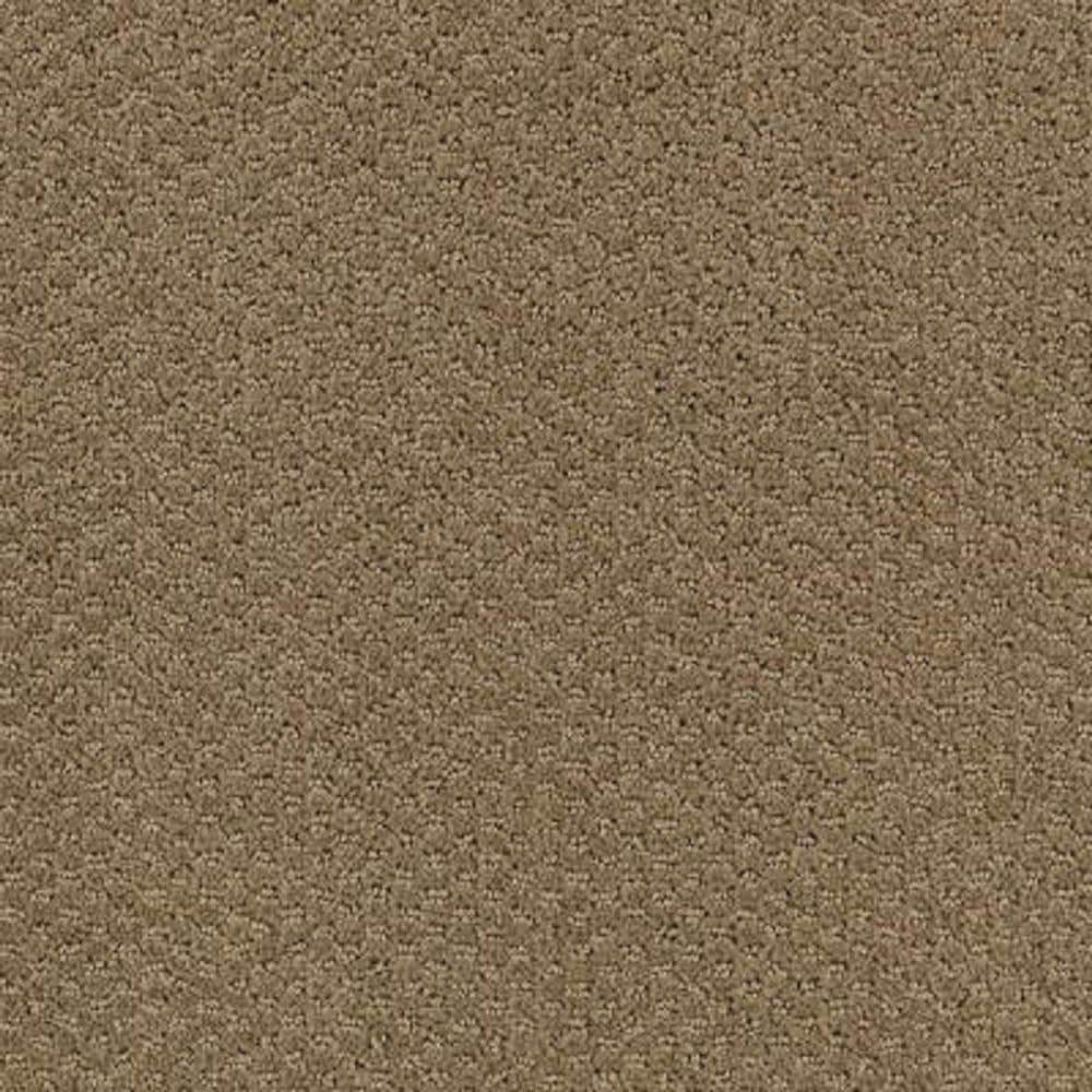 8 in. x 8 in. Pattern Carpet Sample - Katama II -Color Timberline price history on PriceWatchPro