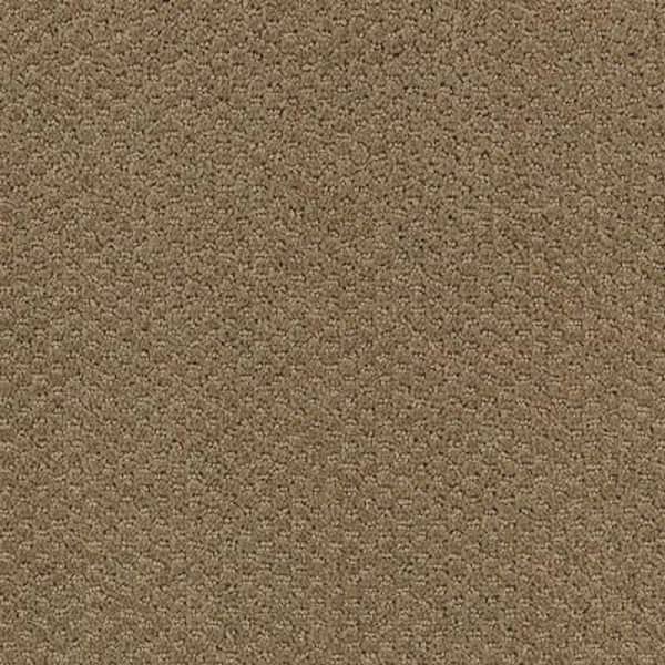 Lifeproof 8 in. x 8 in. Pattern Carpet Sample - Katama II -Color Timberline