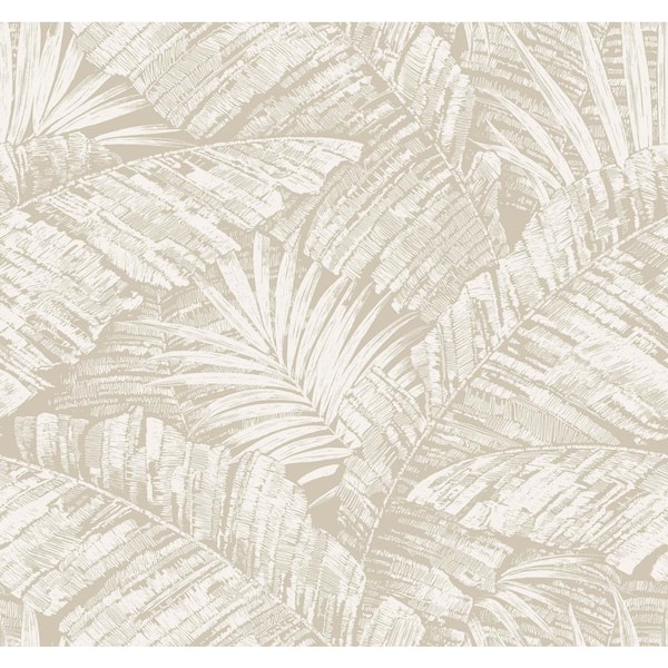 York Wallcoverings Palm Cove Toile White and Taupe Wallpaper Roll