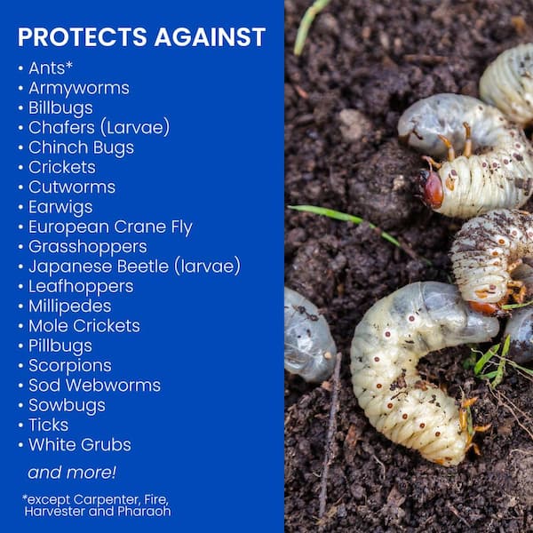 https://images.thdstatic.com/productImages/efa2b591-b54d-4d6c-8050-6caab8d50019/svn/bioadvanced-insect-killer-granules-700749u-e1_600.jpg