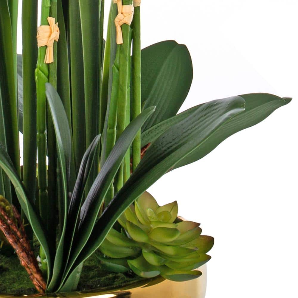 23.62" Tall White and Green Artificial Orchid Arrangement in Gold-Plated Ceramic Vase