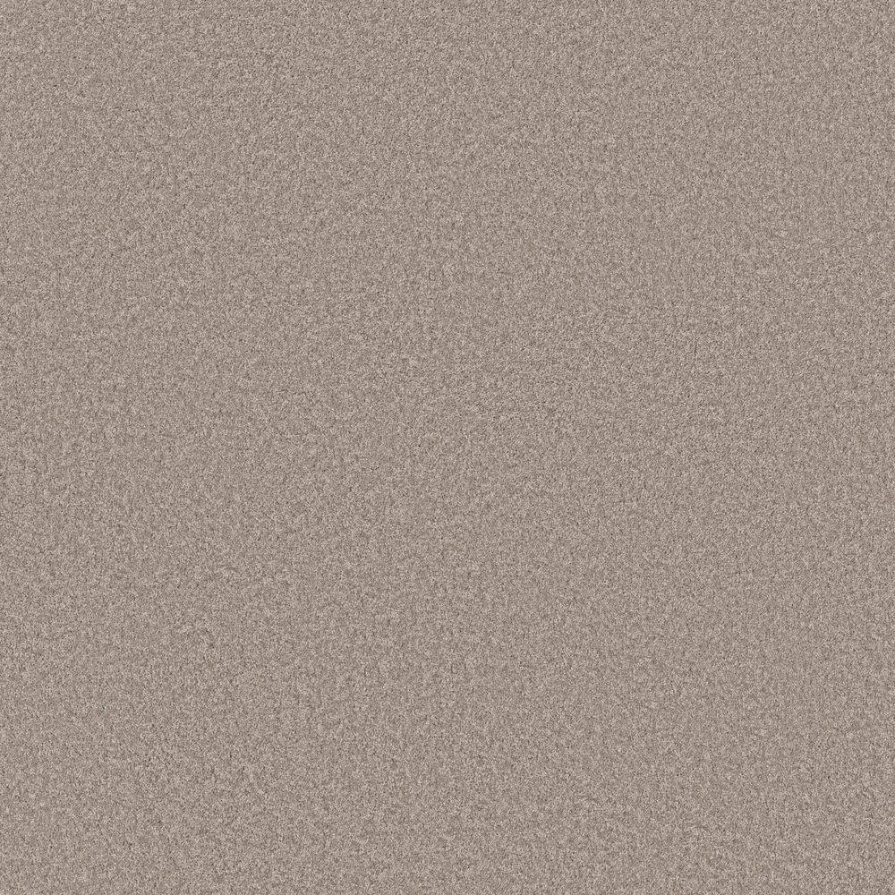8 in. x 8 in. Texture Carpet Sample - Snug Sweets II - Color Antiquity price history on PriceWatchPro