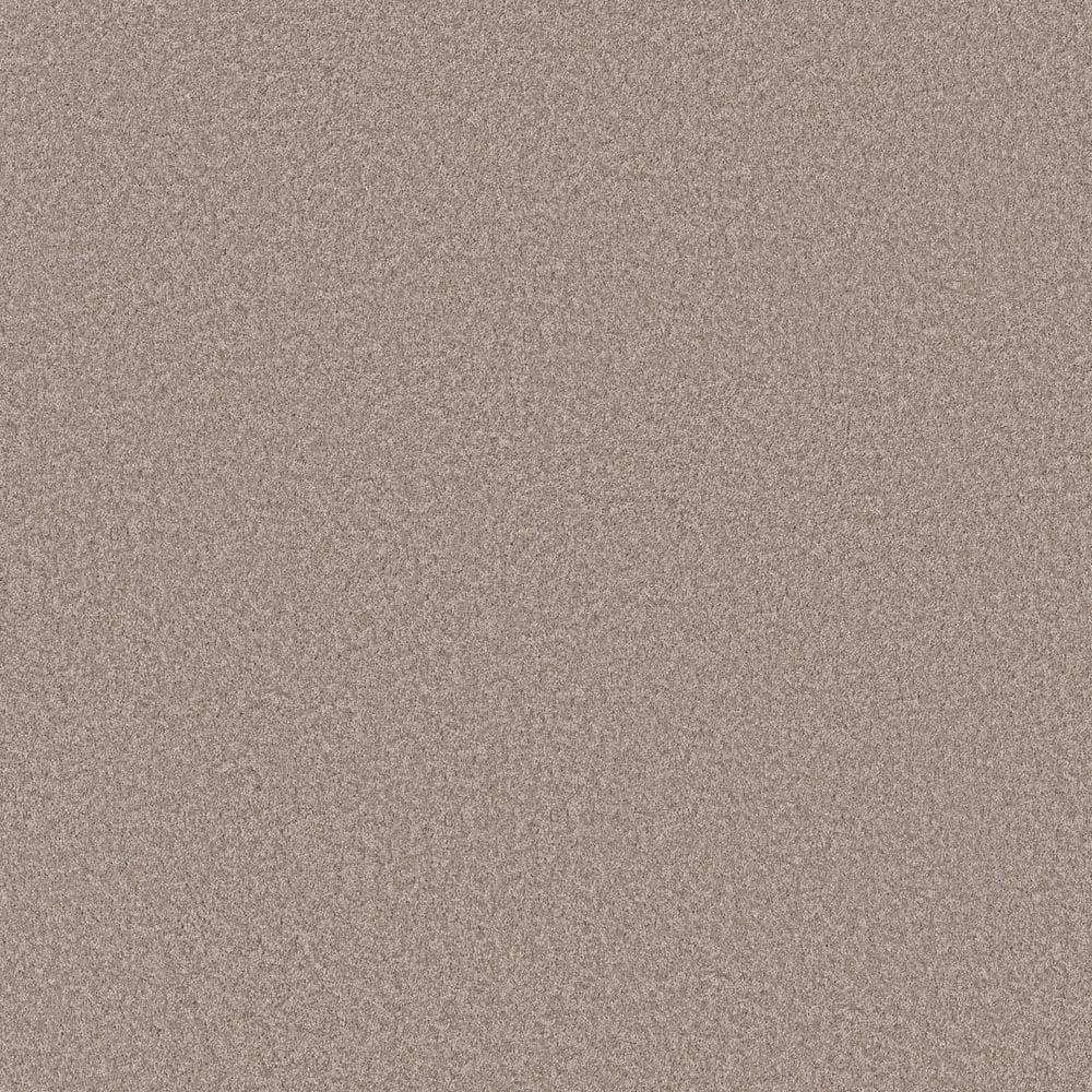 8 in. x 8 in. Texture Carpet Sample - Snug Sweets III - Color Antiquity price history on PriceWatchPro