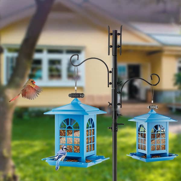OGETFUUR Pack Plastic Bird Feeders for 360° Perch Outdoors