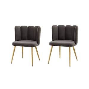 Yginio Grey Velvet Side Chair with Metal Legs (Set of 2)