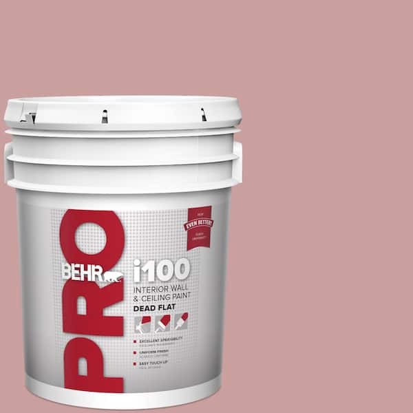 BEHR PRO 5 gal. #MQ1-13 Lady Guinevere Dead Flat Interior Paint