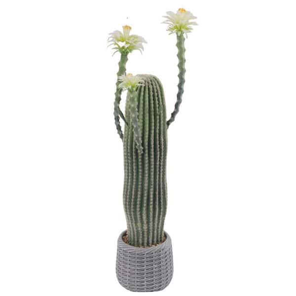 Unbranded 3FT Artificial Cactus Tree In Pot, 36" Desert Cacti Potted Plant, Realistic Texture Potted Tall Cactus Home Office
