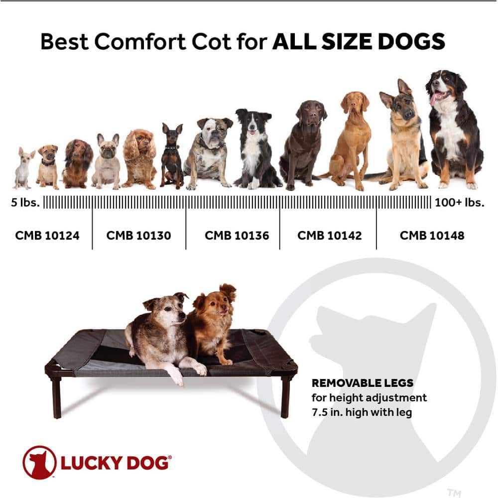 Medium Gray Waterproof Elevated Outdoor Pet Bed