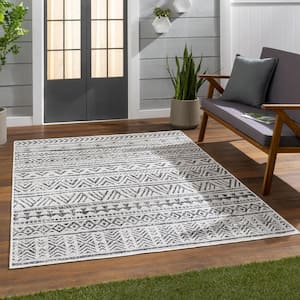 Eartha Charcoal 7 ft. 10 in. Square Indoor/Outdoor Area Rug