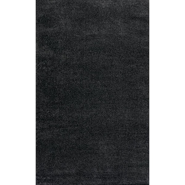 Haze Solid Low-Pile Black 6 ft. x 9 ft. Area Rug