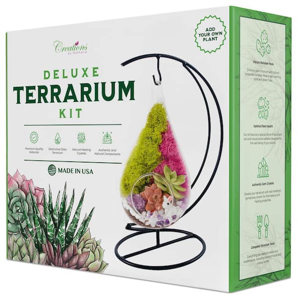 DIY Terrarium Kit with Live Succulent, Glass Teardrop, Metal Stand, Reindeer Moss, Crystals, Rocks, Tools and Figurine