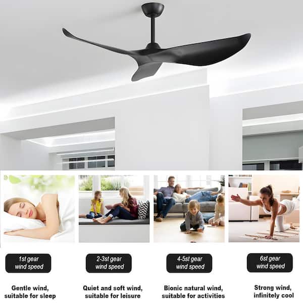 Sofucor 52 in. Indoor/Outdoor Black Wood Ceiling Fan without