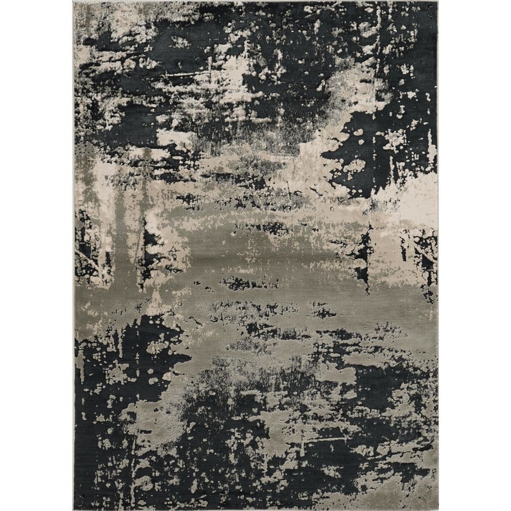 Clara Silver Charcoal 10 ft. x 13 ft. Ombre FarmHouse Area Rug price history on PriceWatchPro