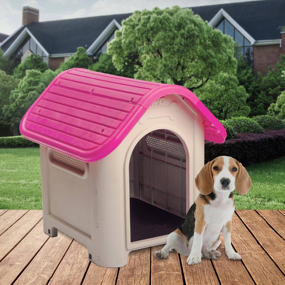 Magenta and Beige Polypropylene Dog House with Bowl for Small/Medium Breeds