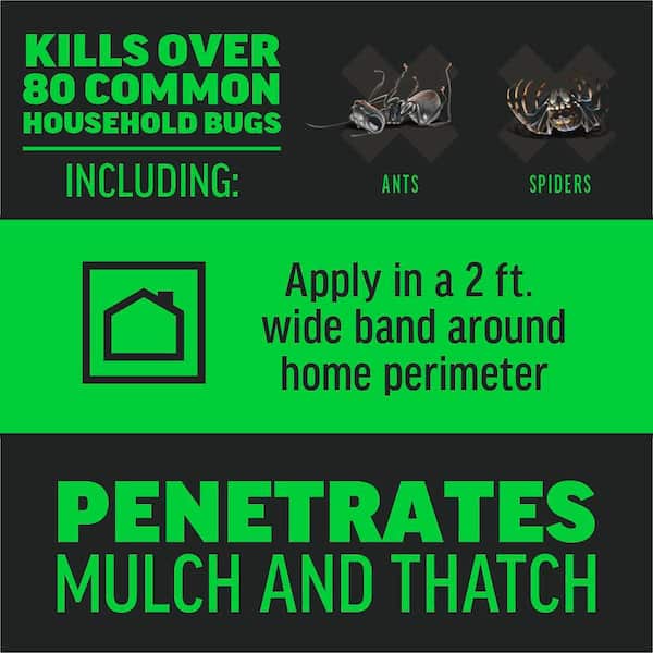 Quick Kill 2 lb. Outdoor Home Perimeter Multi-Insect Killer Granules with 3-Month Control 2 Pack