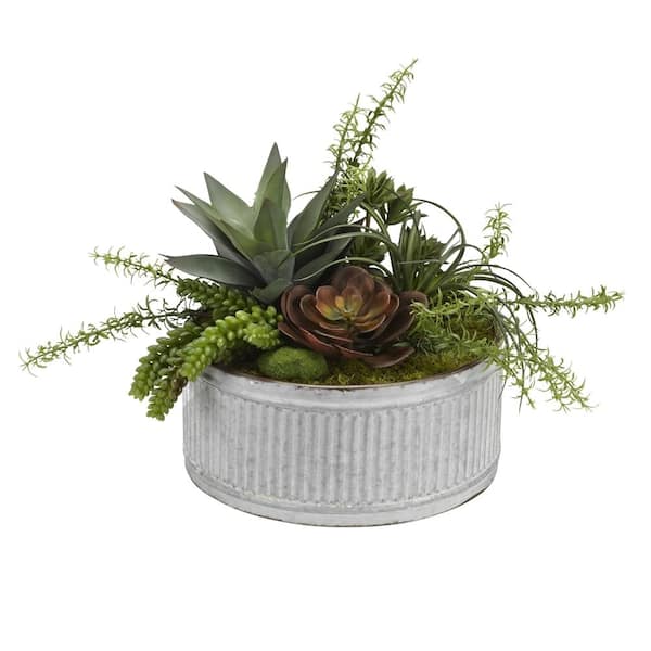 D&W Silks Indoor Echeveria, Aloe and Assorted Succulents in Round Tin Planter