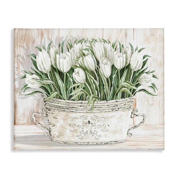 Fresh White Tulip Flowers by Cindy Jacobs 1-Piece Gallery Wrapped Unframed Nature Graphic Art Print 20 in. x 16 in.
