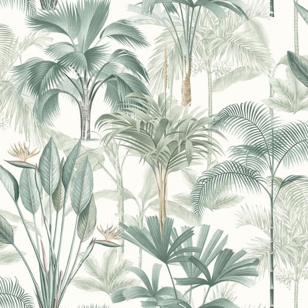 Freda Green Palm Trees Wallpaper Sample