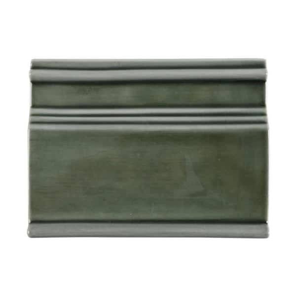 Delphi Deep Emerald 6 in. x 8 in. Polished Glass Base Molding Liner Wall Tile Trim(0.33 sq. ft. / Each)