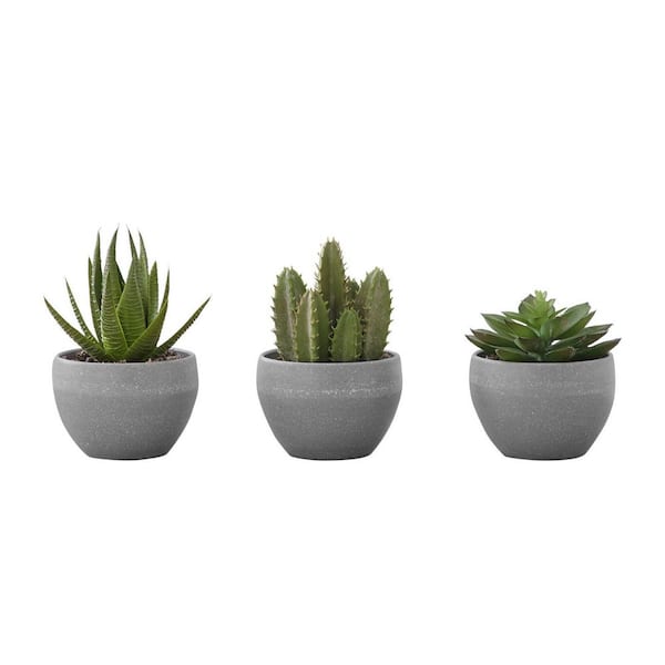 3-Pieces Artificial Plant Succulent 5.8 in. Potted Table Greenery Green Plant, Grey Cement Pots, Home Office Shelf Decor