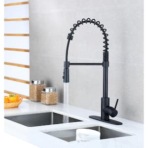 Lincoln Single-Handle Pull Down Sprayer Kitchen Faucet in Matte Black