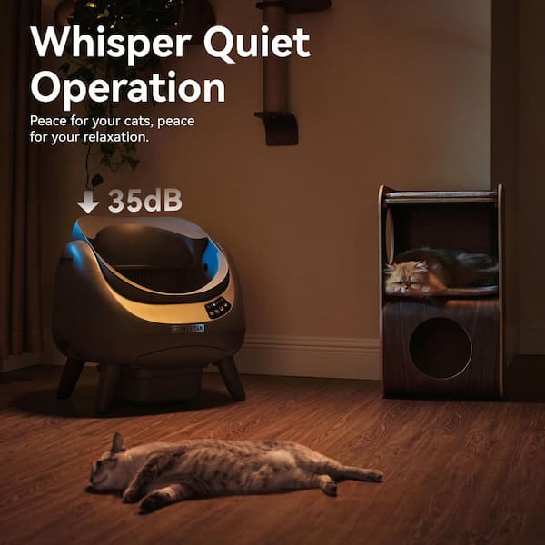 CATLINK Open-X White Open Top Automatic Self-Cleaning Litter Box for Large  Breed Cats CL-CH-01 - The Home Depot