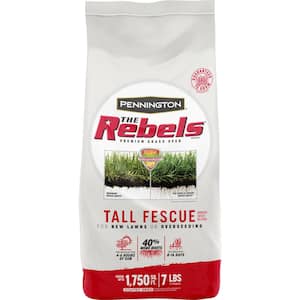 The Rebels 7 lbs. Tall Fescue Grass Seed Blend