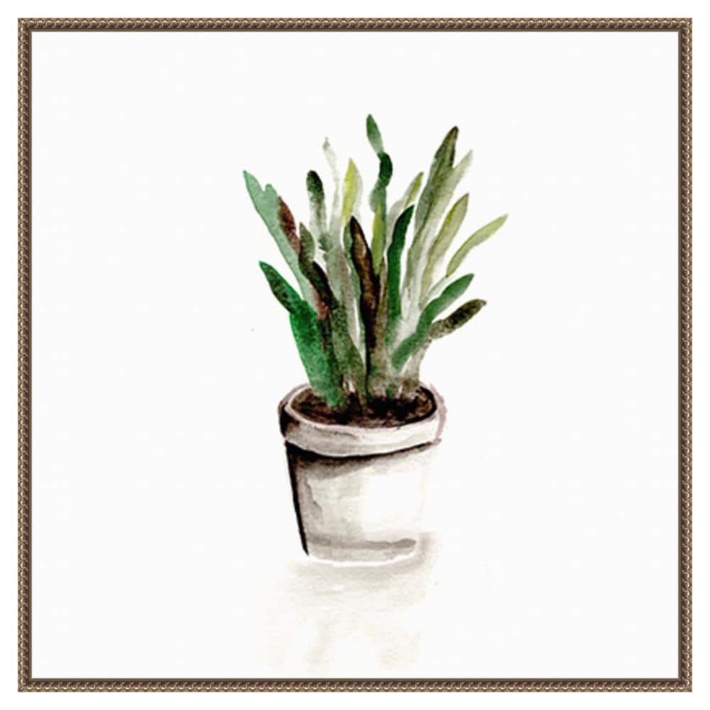 Amanti Art 30"x30" Potted Botanicals III by Marcy Chapman Framed Canvas Wall Art Print