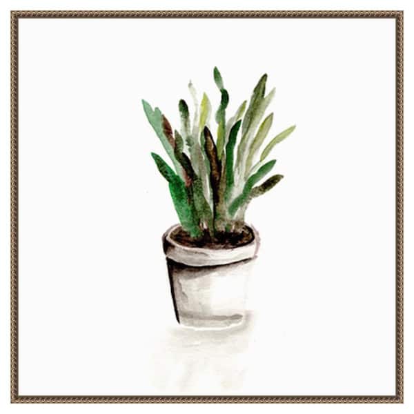 Amanti Art Potted Botanicals III by Marcy Chapman 30 in. W x 30 in. H. Canvas Wall Art Print Framed in Bronze
