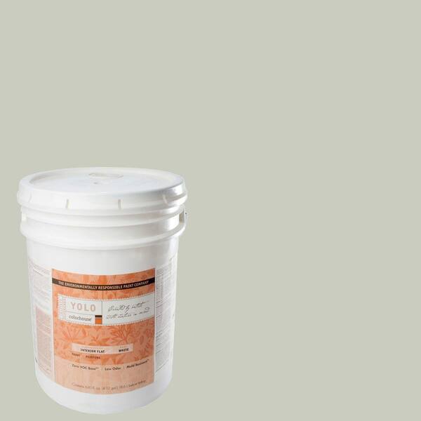 YOLO Colorhouse 5-gal. Leaf .03 Flat Interior Paint-DISCONTINUED