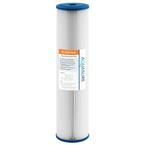 Fortitude 30-Micron Pleated Sediment Whole House Water Filter