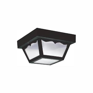Outdoor Ceiling Clear 2-Light Outdoor Flush Mount with LED Bulbs