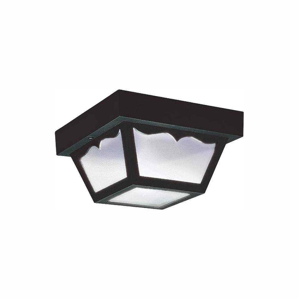 Sea Gull Lighting Outdoor Ceiling Clear 2-Light Outdoor Flush Mount with  LED Bulbs 7569EN3-32 - The Home Depot