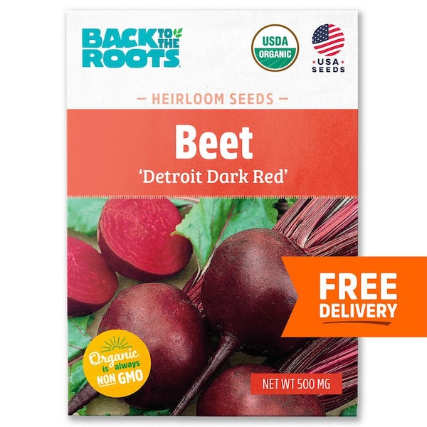 Back to the Roots Organic Detroit Dark Red Beets Seed (1-Pack)