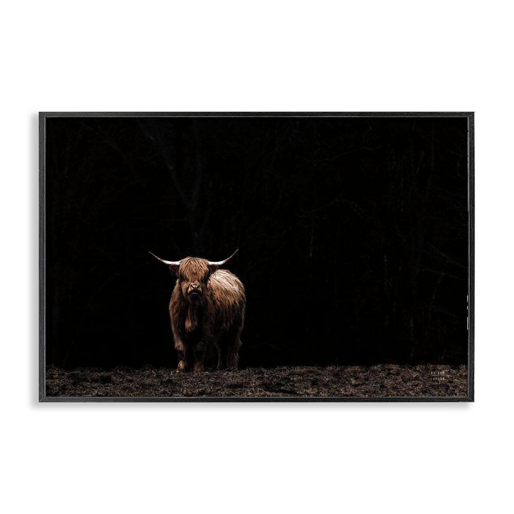 Dark Contrast Highland Cow by Nathan Larson Black Framed Animal Giclee Art Print 12 in. x 18 in. price history on PriceWatchPro